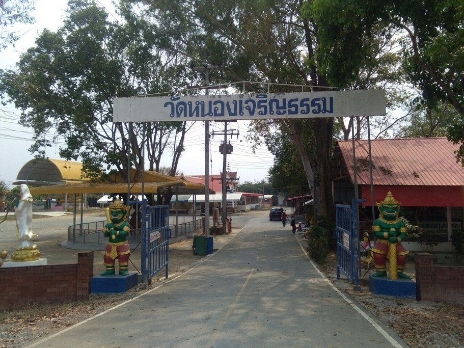 Image gallery image
